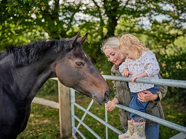 Agricultural fencing and gates