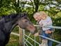 Agricultural fencing and gates