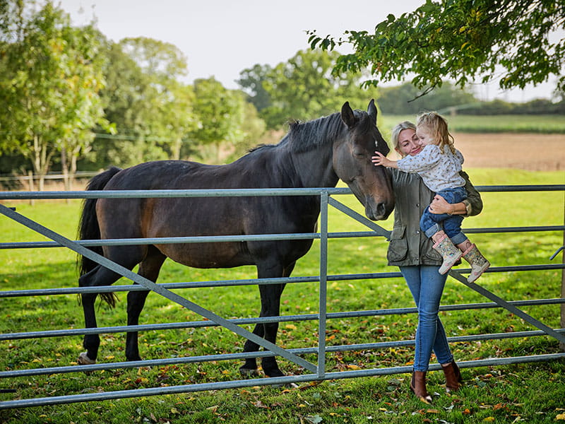Heavy metal field gate