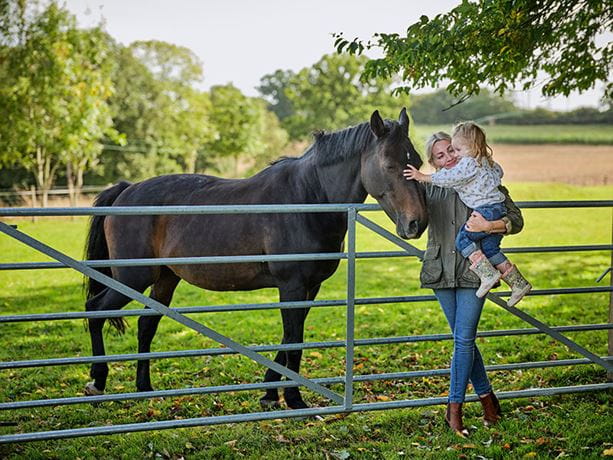 Heavy metal field gate