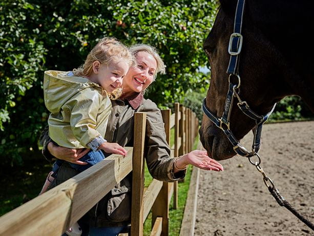 Post and rail fencing
