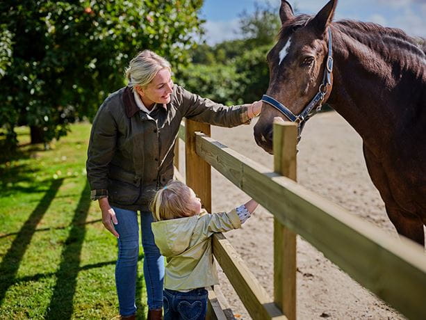 Timber post and rail fencing
