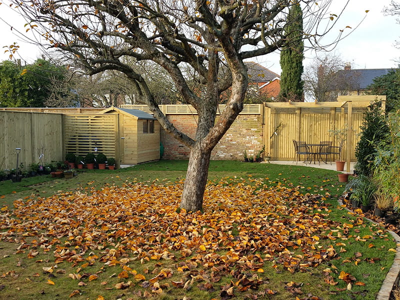 garden in autumn with an outdoor shelter