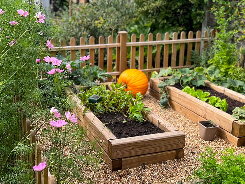 Palisade fencing and planters