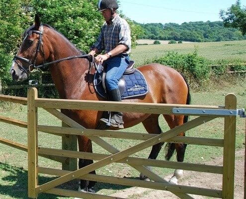 gate with horse