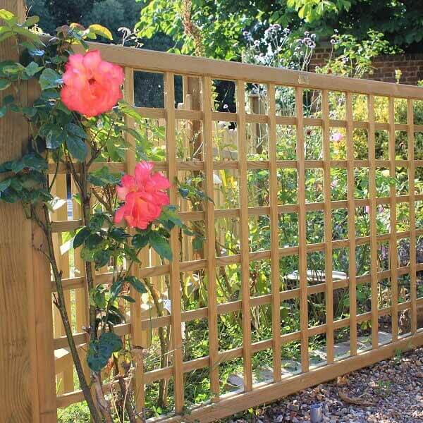 Flowers on trellis fencing