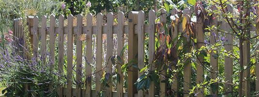 Traditional garden fencing