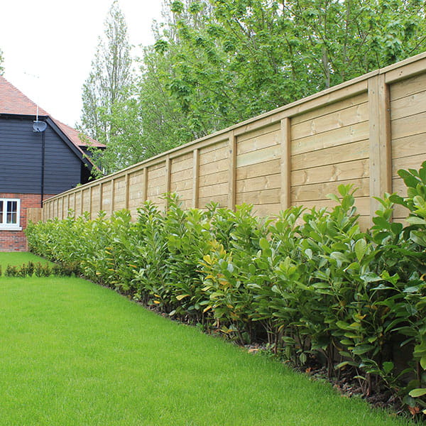 Noise fencing for dogs