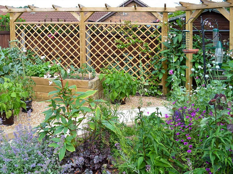 Wooden pergola and trellis