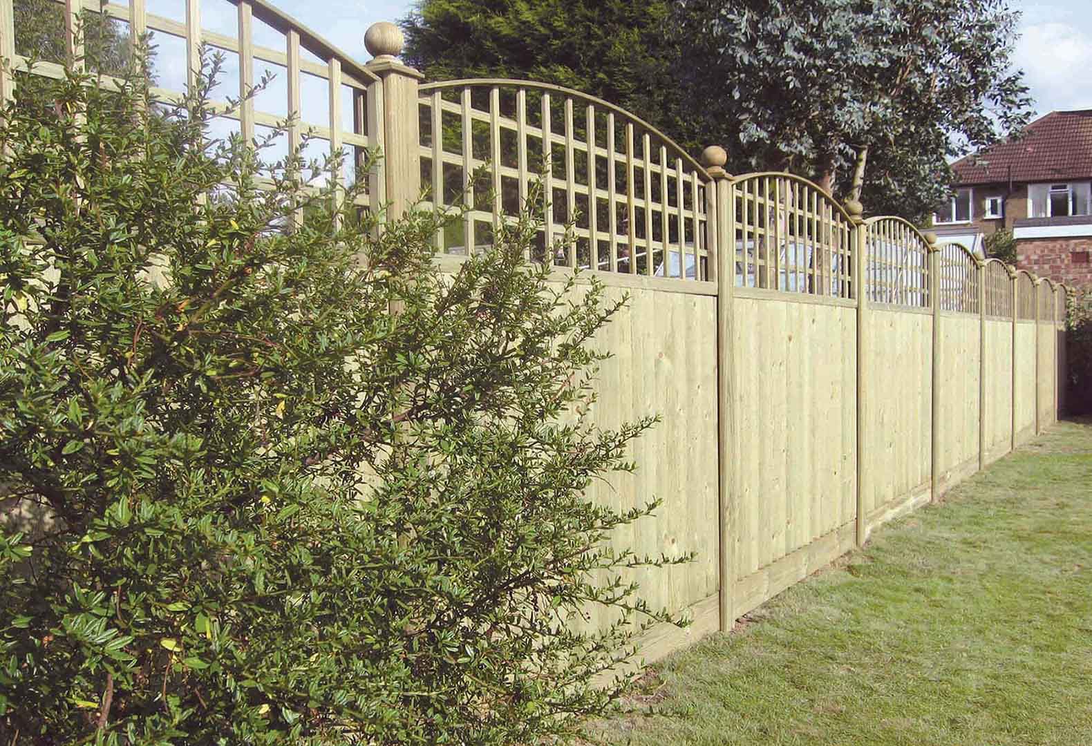 Curved of Trellis