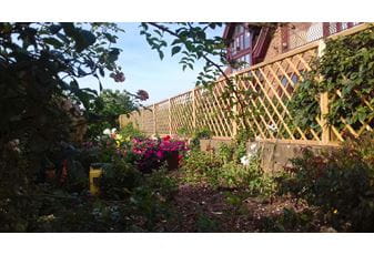 Choosing trellis panels