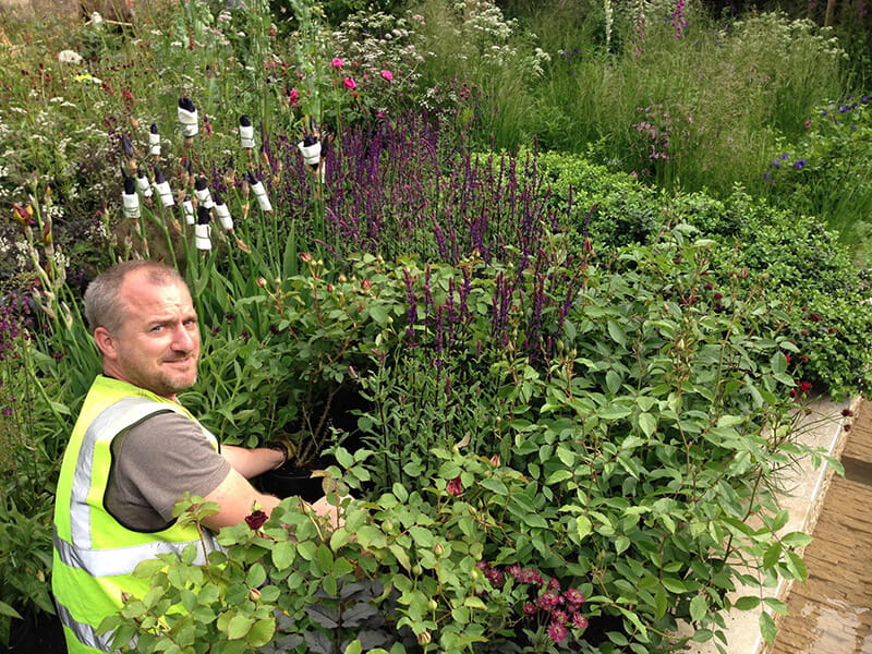 Jon Sims helping plant at RHS Chelsea