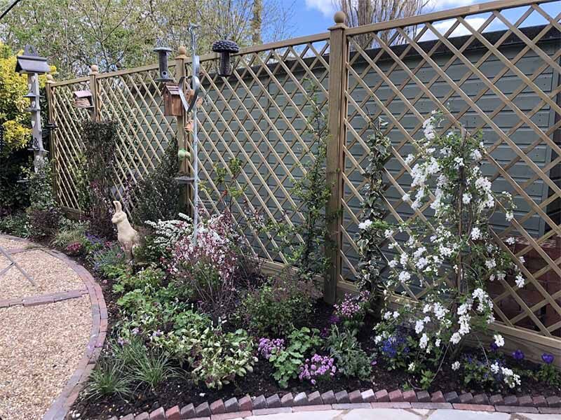 Different Trellis Types Best Trellis Types Jacksons Fencing