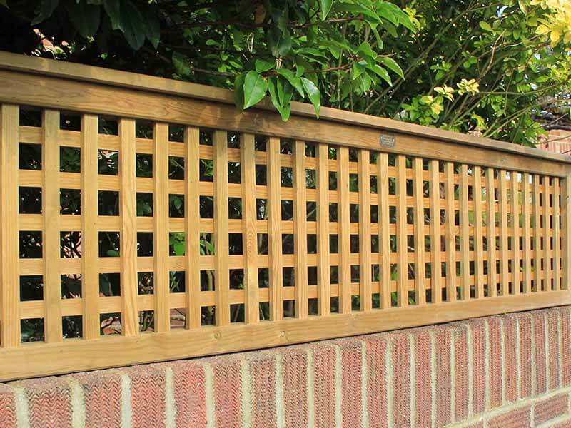 Lattice trellis on wall