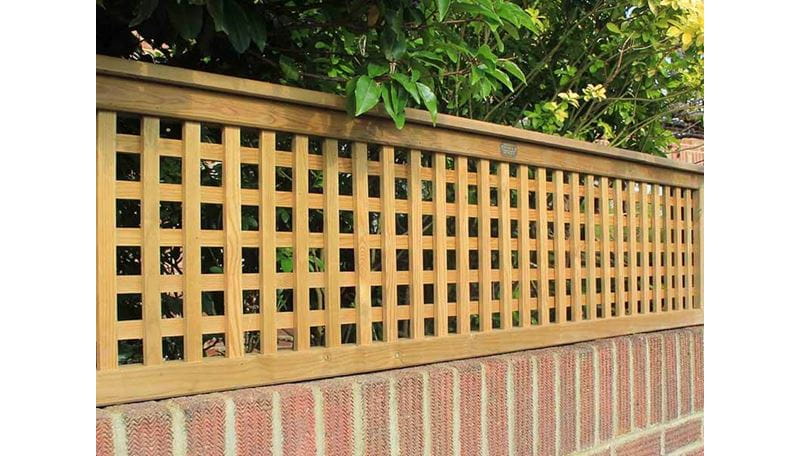 Lattice trellis on wall