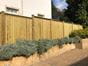 Premium fence panels - Chilham