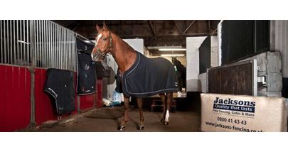Horse Shavings 20kg