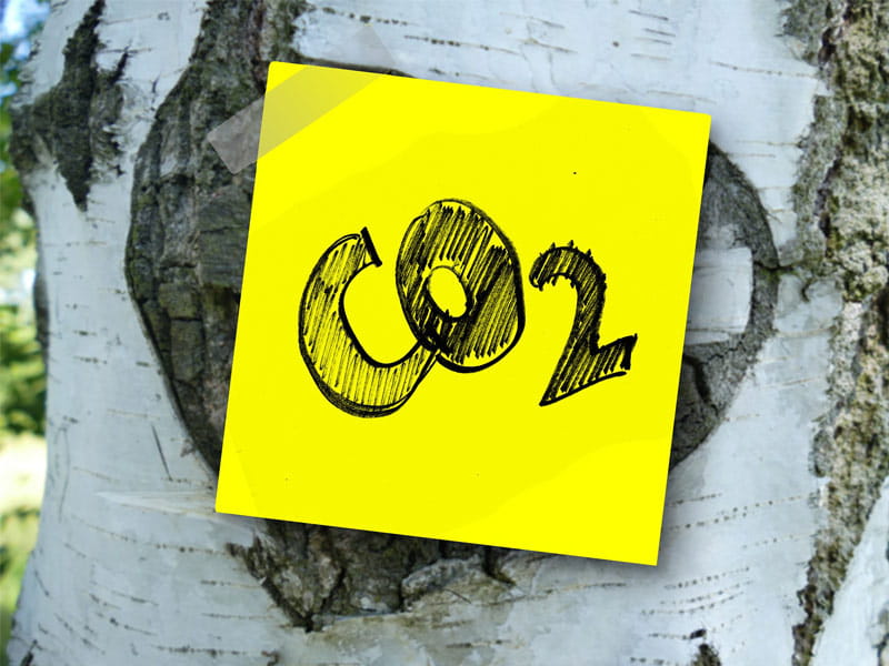 sustainability-carbon-footprint