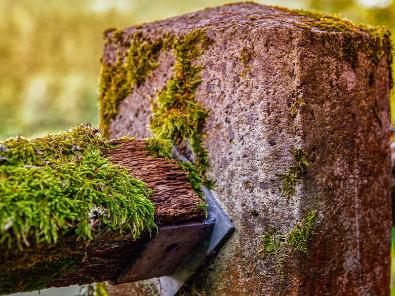 sustainability-concrete