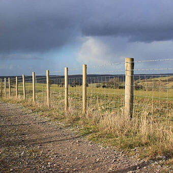 fence stakes