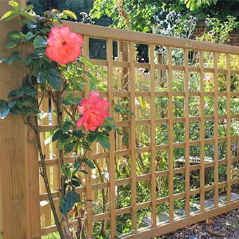 Premier trellis fence panels