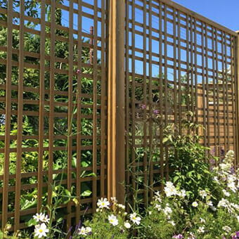 trellis