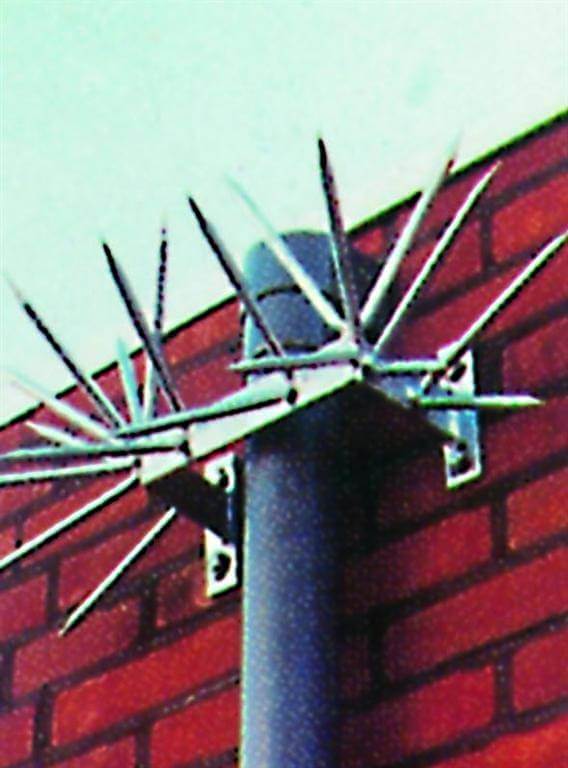 security topping installed on drainpipe