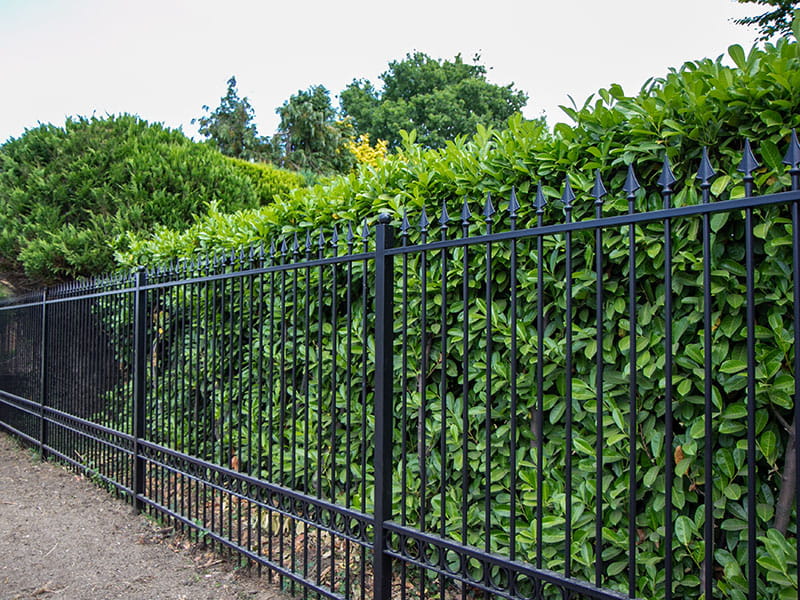 1.8m high standard style ornamental railings RAL 9005
