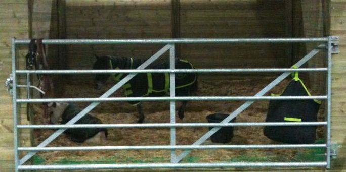 Metal Field Gate used for Equestrian Stable