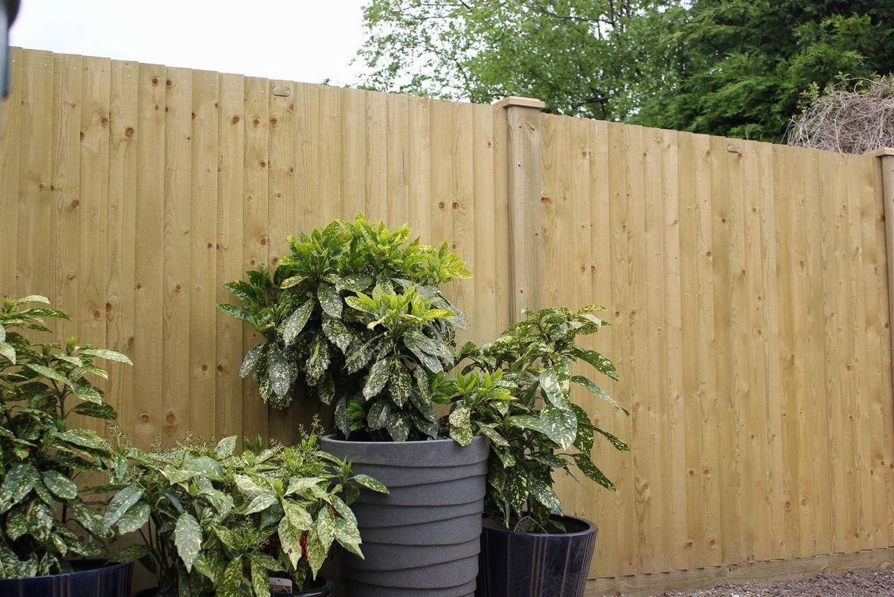 Featherboard Closeboard Fencing Panels