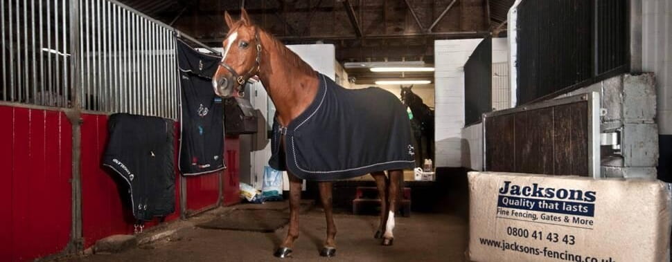 Horse Shavings 20kg