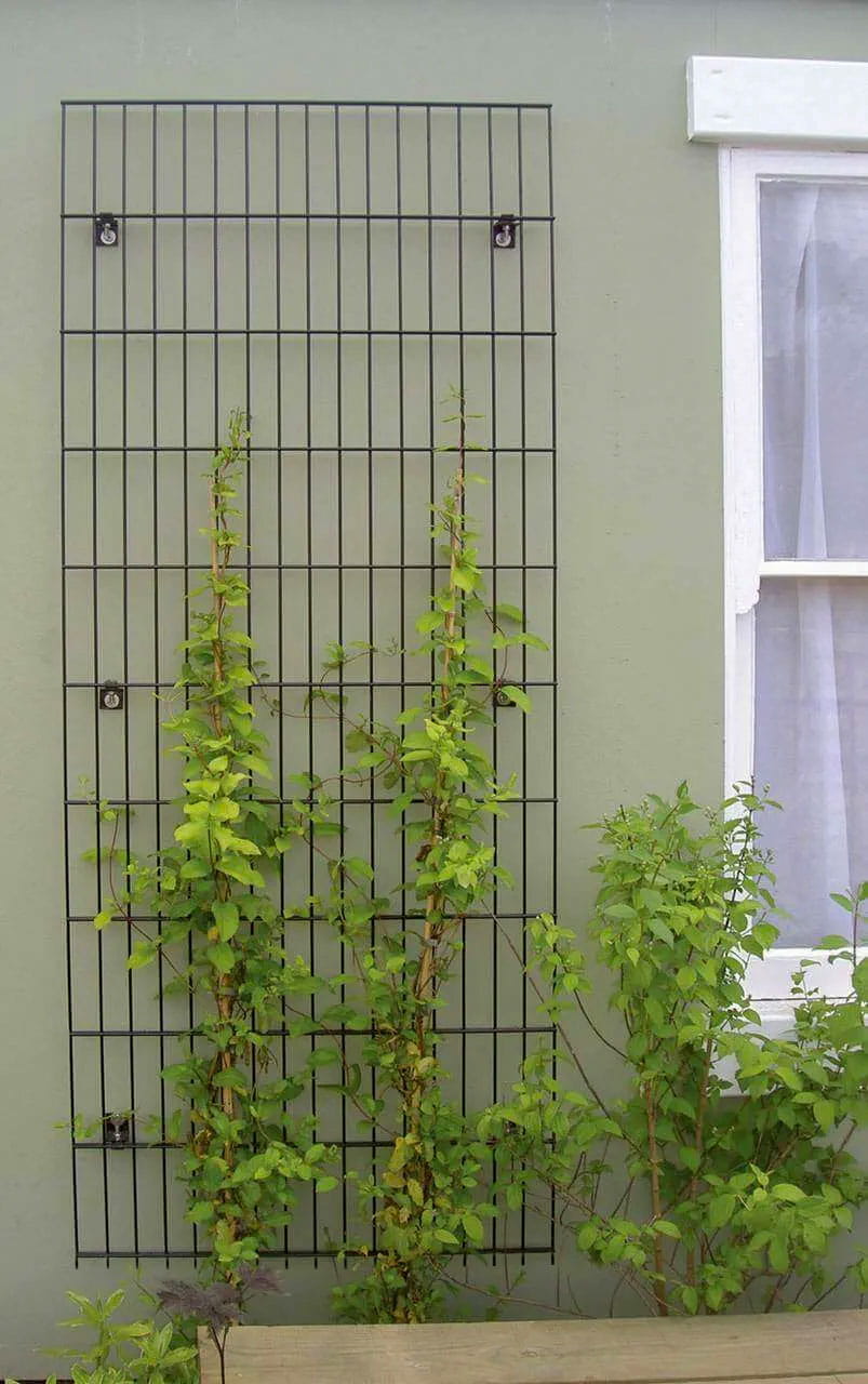 Metal Trellis for wall