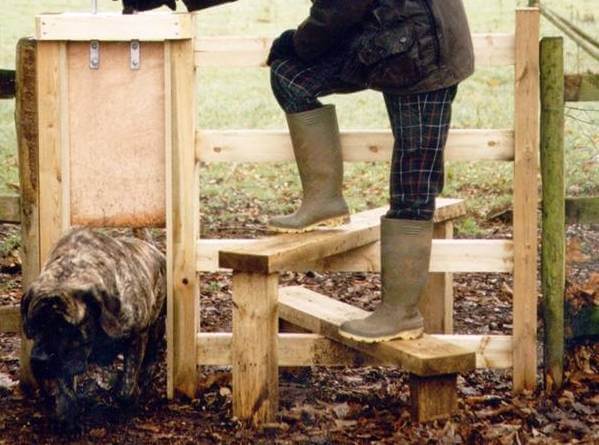 Stile with dog gate