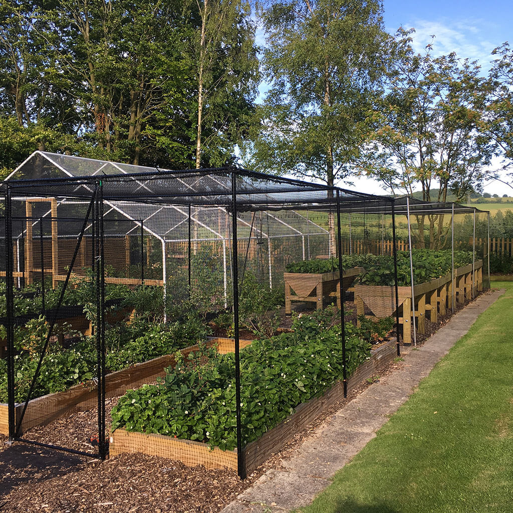 Gardem fruit cages
