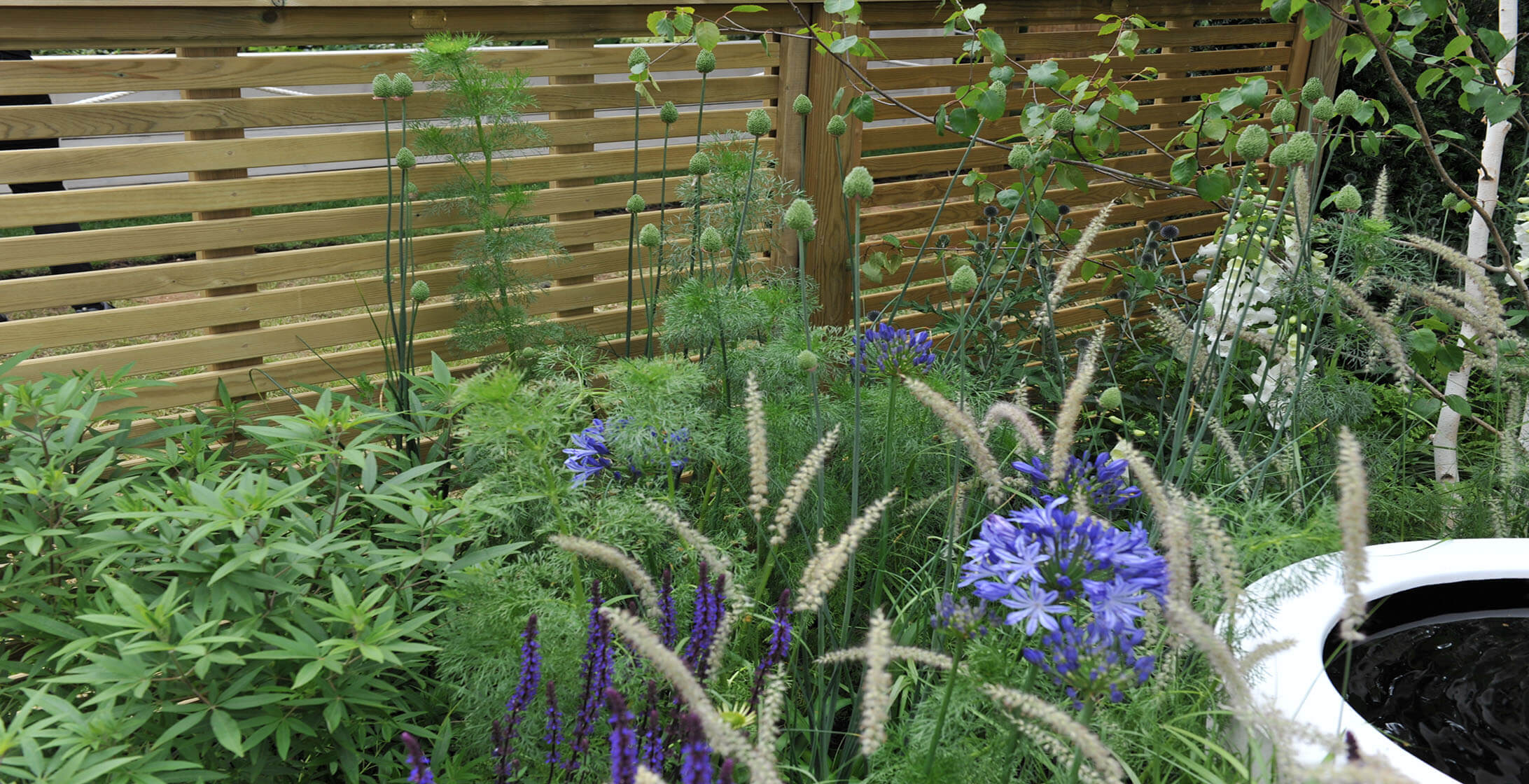 RHS garden with jacksons fencing