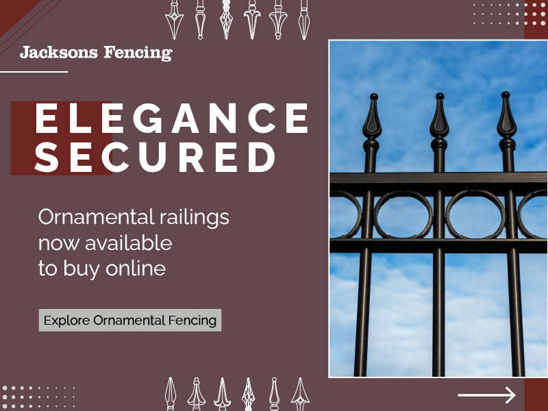 Ornamental buy online