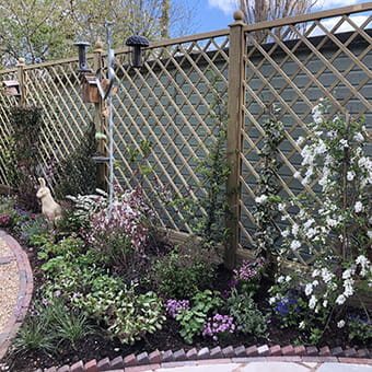 Diamond Trellis Panels